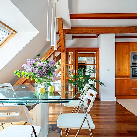 Rj Chopina 소포트