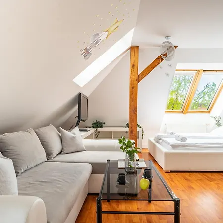 Rj Chopina * 소포트